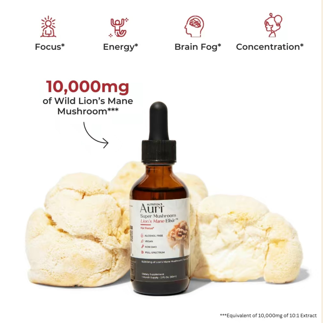 Super Mushroom - Lion’s Mane Elixir
