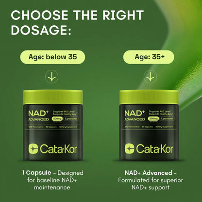 Nad+ Advanced - 60 Capsules Dietary Supplement